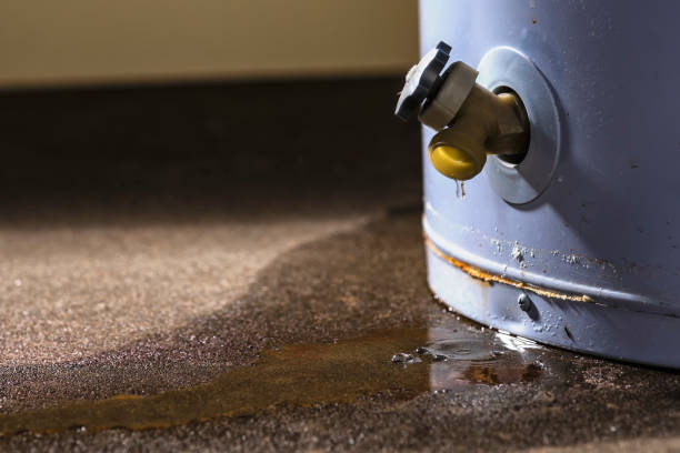 Best 24-hour water damage restoration  in Lewisport, KY