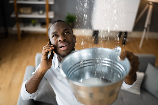 Best Water damage contractors near me  in Lewisport, KY