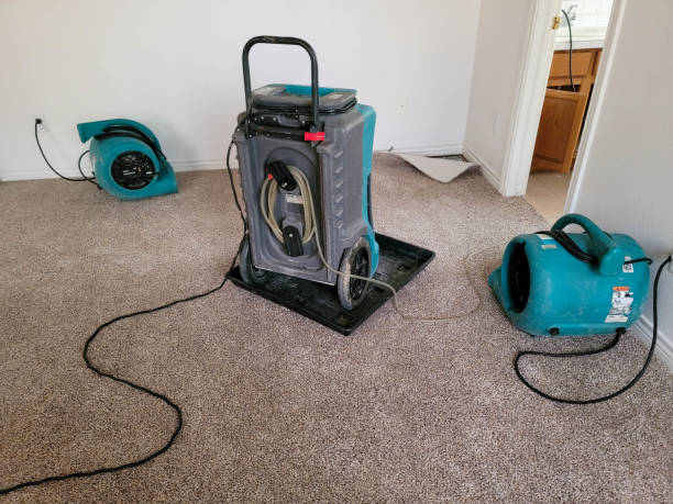  Lewisport, KY Water damage restoration Pros