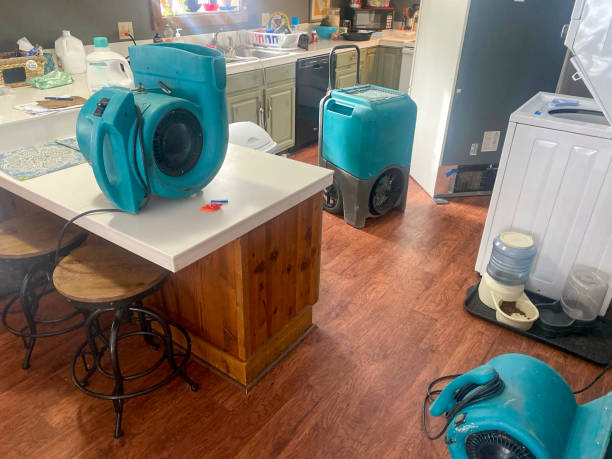 Best Sewage cleanup and water damage restoration  in Lewisport, KY
