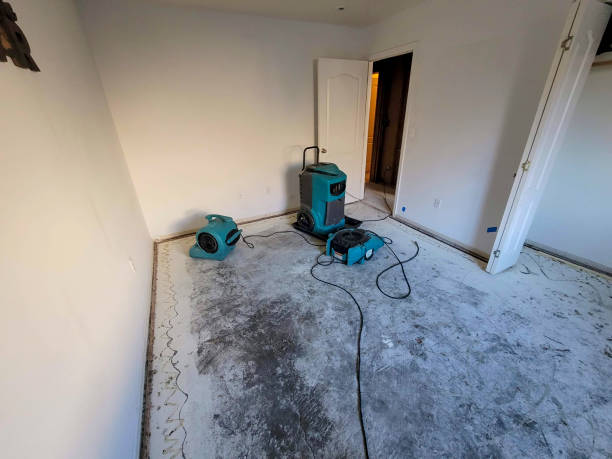 Best Mold removal after water damage  in Lewisport, KY