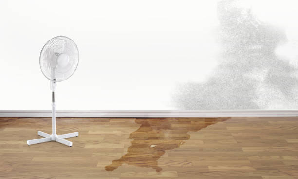 Best Flooded house restoration  in Lewisport, KY