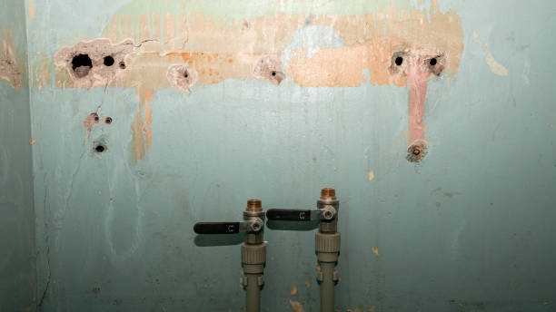 Best Carpet water damage restoration  in Lewisport, KY