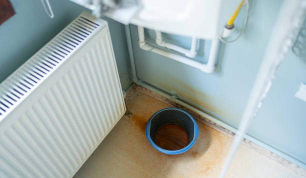 Best Flood restoration services  in Lewisport, KY